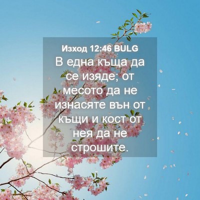 Picture 04 - Изход 12:46 BULG - В една къща да се изяде; от - Bible Verse Picture