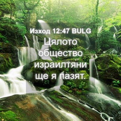 Picture 04 - Изход 12:47 BULG - Цялото общество - Bible Verse Picture
