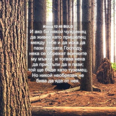 Picture 04 - Изход 12:48 BULG - И ако би някой чужденец да - Bible Verse Picture