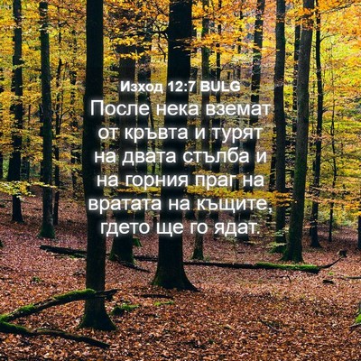Picture 04 - Изход 12:7 BULG - После нека вземат от - Bible Verse Picture