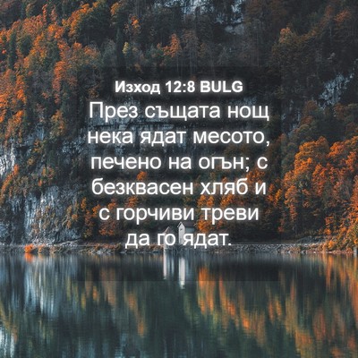 Picture 04 - Изход 12:8 BULG - През същата нощ нека ядат - Bible Verse Picture