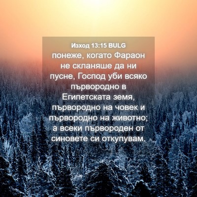 Picture 04 - Изход 13:15 BULG - понеже, когато Фараон не - Bible Verse Picture