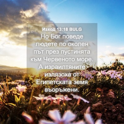 Picture 04 - Изход 13:18 BULG - Но Бог поведе людете по - Bible Verse Picture