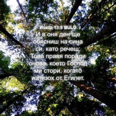 Picture 04 - Изход 13:8 BULG - И в оня ден ще обясниш на - Bible Verse Picture