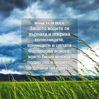 Picture 04 - Изход 14:28 BULG - Защото водите се върнаха и - Bible Verse Picture
