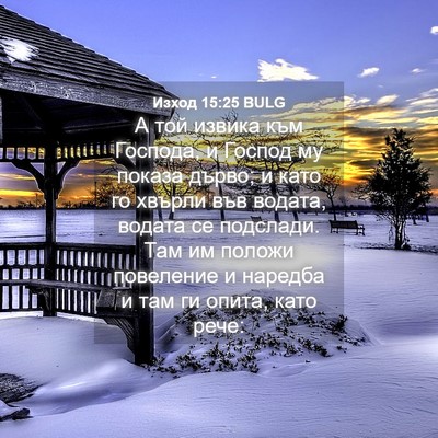 Picture 04 - Изход 15:25 BULG - А той извика към Господа, и - Bible Verse Picture