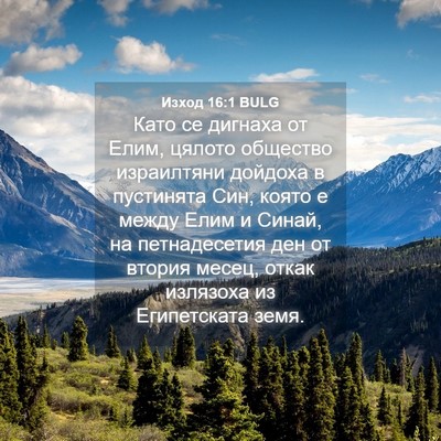 Picture 04 - Изход 16:1 BULG - Като се дигнаха от Елим, - Bible Verse Picture