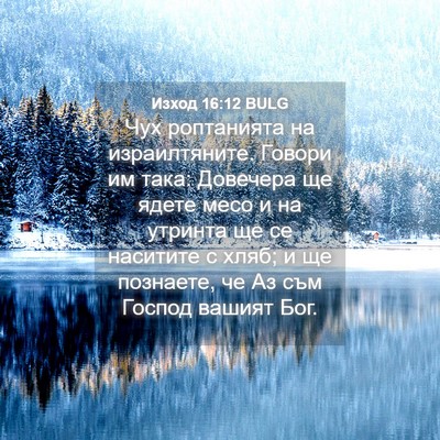 Picture 04 - Изход 16:12 BULG - Чух роптанията на - Bible Verse Picture