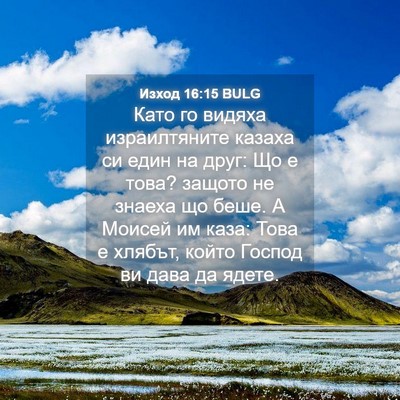 Picture 04 - Изход 16:15 BULG - Като го видяха - Bible Verse Picture