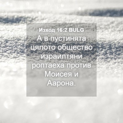 Picture 04 - Изход 16:2 BULG - А в пустинята цялото - Bible Verse Picture