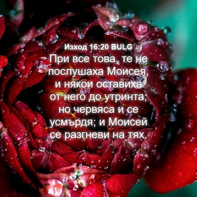 Picture 04 - Изход 16:20 BULG - При все това, те не - Bible Verse Picture