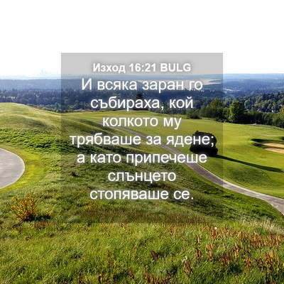 Picture 04 - Изход 16:21 BULG - И всяка заран го събираха, - Bible Verse Picture