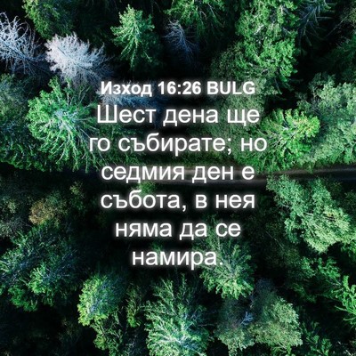 Picture 04 - Изход 16:26 BULG - Шест дена ще го събирате; - Bible Verse Picture