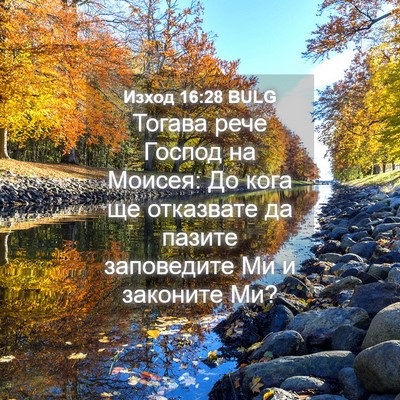 Picture 04 - Изход 16:28 BULG - Тогава рече Господ на - Bible Verse Picture