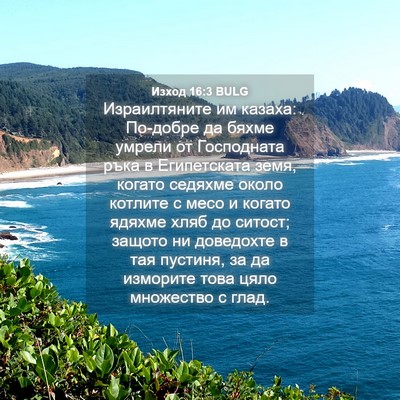 Picture 04 - Изход 16:3 BULG - Израилтяните им казаха: - Bible Verse Picture