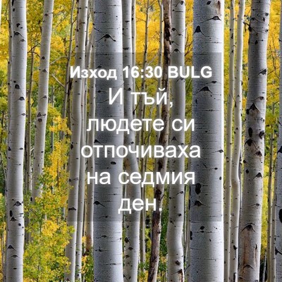 Picture 04 - Изход 16:30 BULG - И тъй, людете си отпочиваха - Bible Verse Picture