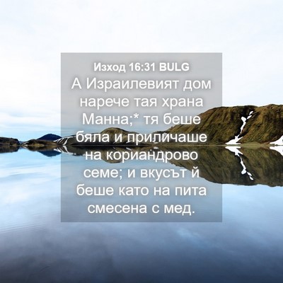 Picture 04 - Изход 16:31 BULG - А Израилевият дом нарече - Bible Verse Picture