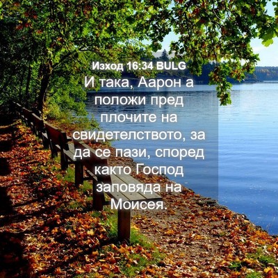 Picture 04 - Изход 16:34 BULG - И така, Аарон а положи пред - Bible Verse Picture