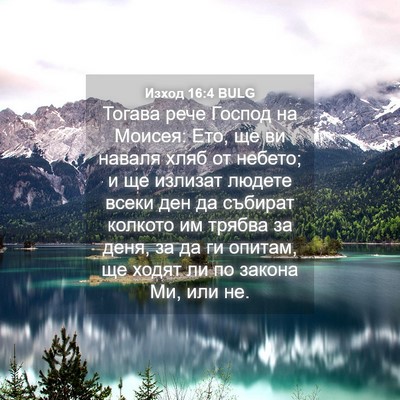 Picture 04 - Изход 16:4 BULG - Тогава рече Господ на - Bible Verse Picture