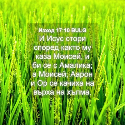 Picture 04 - Изход 17:10 BULG - И Исус стори според както - Bible Verse Picture