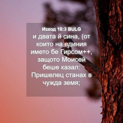 Picture 04 - Изход 18:3 BULG - и двата й сина, (от които на - Bible Verse Picture