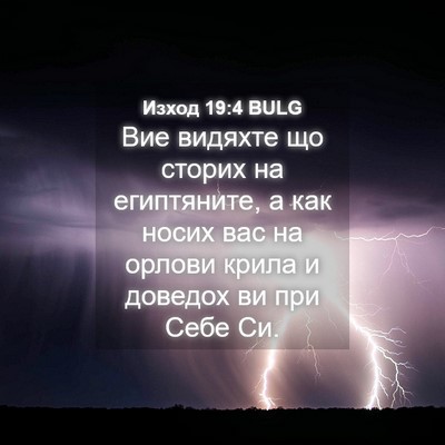 Picture 04 - Изход 19:4 BULG - Вие видяхте що сторих на - Bible Verse Picture