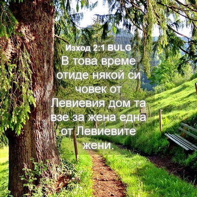 Picture 04 - Изход 2:1 BULG - В това време отиде някой си - Bible Verse Picture