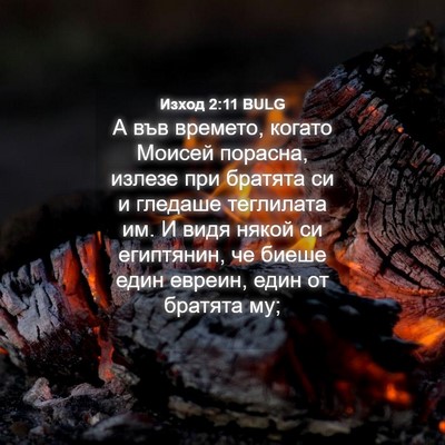Picture 04 - Изход 2:11 BULG - А във времето, когато - Bible Verse Picture
