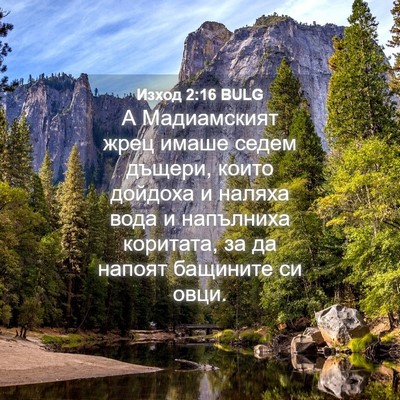 Picture 04 - Изход 2:16 BULG - А Мадиамският жрец имаше - Bible Verse Picture