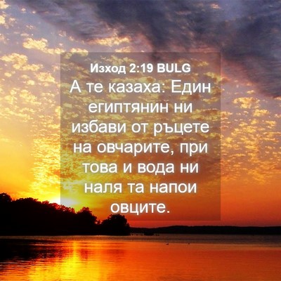 Picture 04 - Изход 2:19 BULG - А те казаха: Един египтянин - Bible Verse Picture