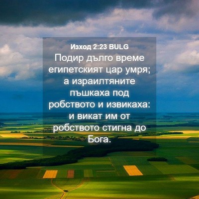 Picture 04 - Изход 2:23 BULG - Подир дълго време - Bible Verse Picture