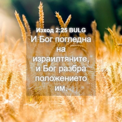 Picture 04 - Изход 2:25 BULG - И Бог погледна на - Bible Verse Picture