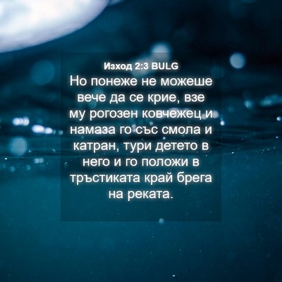 Picture 04 - Изход 2:3 BULG - Но понеже не можеше вече да - Bible Verse Picture