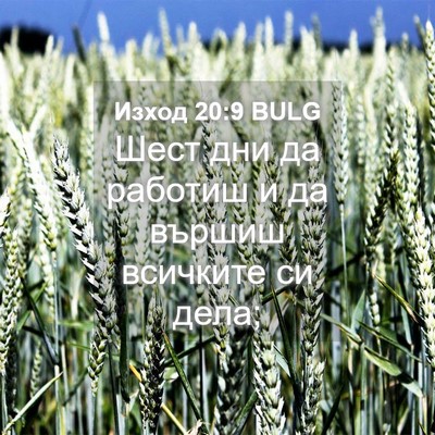 Picture 04 - Изход 20:9 BULG - Шест дни да работиш и да - Bible Verse Picture