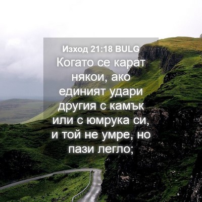 Picture 04 - Изход 21:18 BULG - Когато се карат някои, ако - Bible Verse Picture