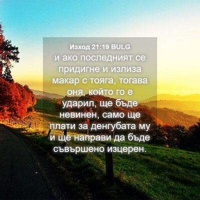 Picture 04 - Изход 21:19 BULG - и ако последният се - Bible Verse Picture