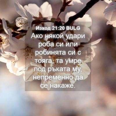 Picture 04 - Изход 21:20 BULG - Ако някой удари роба си или - Bible Verse Picture