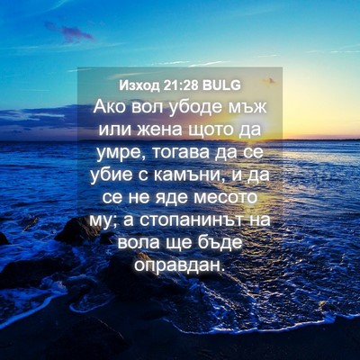 Picture 04 - Изход 21:28 BULG - Ако вол убоде мъж или жена - Bible Verse Picture