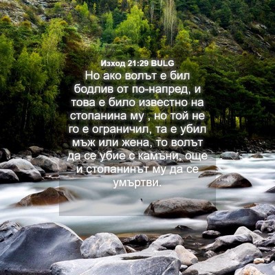 Picture 04 - Изход 21:29 BULG - Но ако волът е бил бодлив - Bible Verse Picture