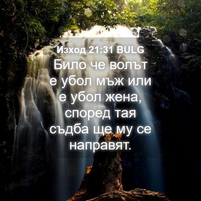 Picture 04 - Изход 21:31 BULG - Било че волът е убол мъж - Bible Verse Picture