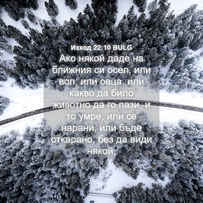 Picture 04 - Изход 22:10 BULG - Ако някой даде на ближния - Bible Verse Picture