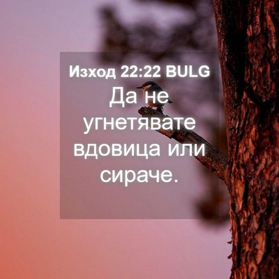 Picture 04 - Изход 22:22 BULG - Да не угнетявате вдовица - Bible Verse Picture