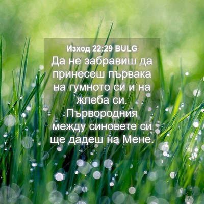 Picture 04 - Изход 22:29 BULG - Да не забравиш да принесеш - Bible Verse Picture