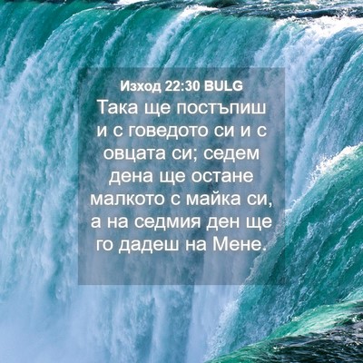 Picture 04 - Изход 22:30 BULG - Така ще постъпиш и с - Bible Verse Picture