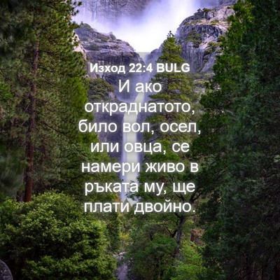Picture 04 - Изход 22:4 BULG - И ако откраднатото, било - Bible Verse Picture