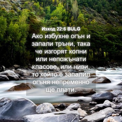 Picture 04 - Изход 22:6 BULG - Ако избухне огън и запали - Bible Verse Picture