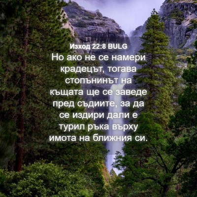 Picture 04 - Изход 22:8 BULG - Но ако не се намери - Bible Verse Picture