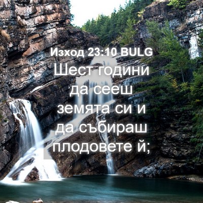 Picture 04 - Изход 23:10 BULG - Шест години да сееш земята - Bible Verse Picture