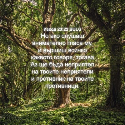 Picture 04 - Изход 23:22 BULG - Но ако слушаш внимателно - Bible Verse Picture