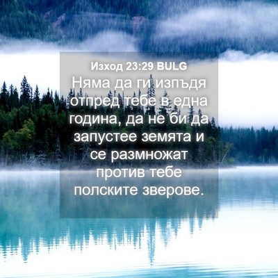 Picture 04 - Изход 23:29 BULG - Няма да ги изпъдя отпред - Bible Verse Picture